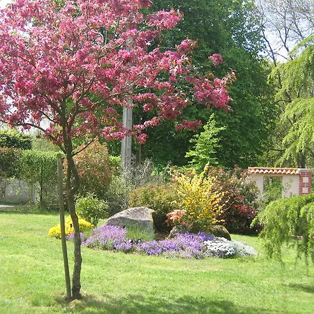 Bed & Breakfast La Minaudiere Nueil-sous-les-Aubiers