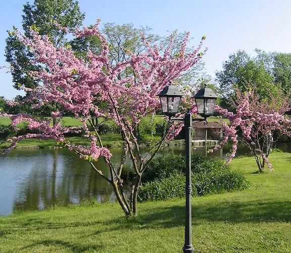 Bed and breakfast La Minaudiere