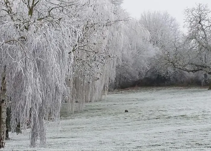 La Minaudiere Bed and breakfast 3*